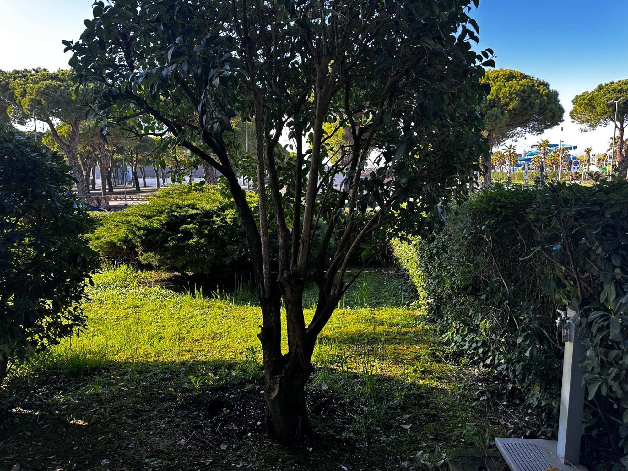 Appartamento Garden