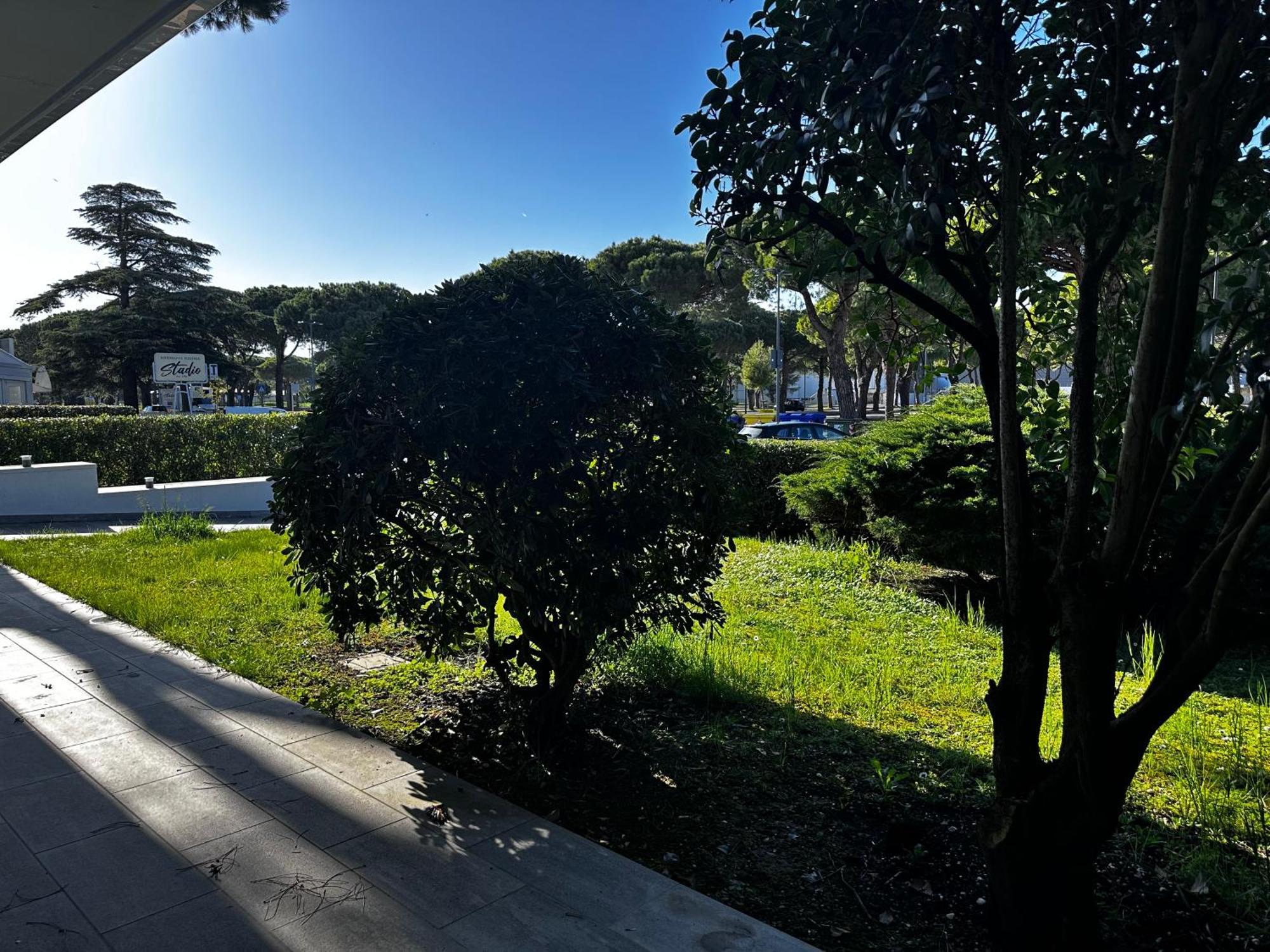 Garden *